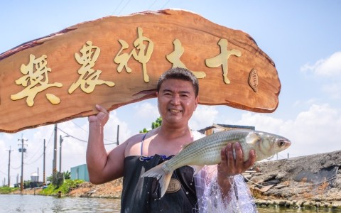 林家冠軍烏魚子